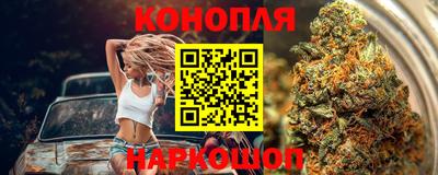 шишки Можайск