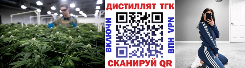 ТГК концентрат  как найти закладки  Сегежа 