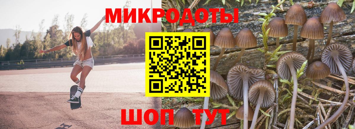 Галлюциногенные грибы Magic Shrooms Сегежа